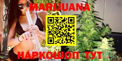 стаф Кингисепп